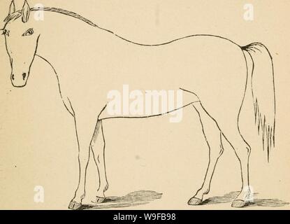 Immagine di archivio da pagina 28 del Cunningham il dispositivo per stockmen e. Cunningham il dispositivo per stockmen e gli agricoltori cunninghamsdevic00cunn Anno: 1882 ( descrizione del marchio difetti Foto Stock