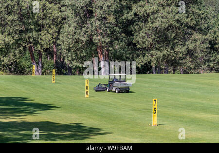 Selettore di gamma, la pallina da golf picker veicolo sul breve driving range di prelevare, raccogliendo palline da golf. Foto Stock