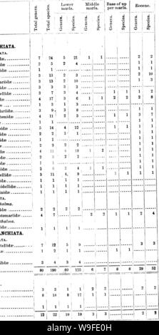 Immagine di archivio da pagina 33 di Gasteropoda e cefalopodi del