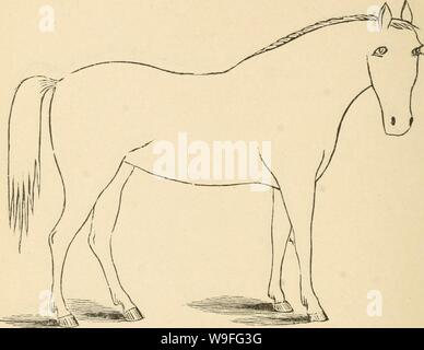 Immagine di archivio da pagina 39 del Cunningham il dispositivo per stockmen e. Cunningham il dispositivo per stockmen e gli agricoltori cunninghamsdevic00cunn Anno: 1882 ( descrizione i marchi di colore colore altezza, Foto Stock