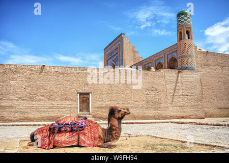 Camel in appoggio al di fuori le mura della città Foto Stock