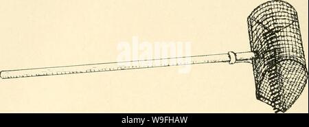 Immagine di archivio da pagina 43 di metodi di coltura per animali invertebrati;. Metodi di coltura per animali invertebrati; culturemethodsfo00galt Anno: 1959 ( 8 invertebrati marini acqua sul retro dell'escavatore è coperto con una rete metallica che trattiene gli animali catturati dai rebbi. Questo strumento è comunemente utilizzato per scavare duro vongole (Venere) e molluschi altri. Il cestello rastrello. Mediante il fissaggio di un paniere di lavoro a rete di filo per il giardino ordinaria rastrello (Fig. 6) uno strumento molto utile può essere realizzato che è la Fig. 6.-Il cestello rastrello. azionati da guadare o da una barca. La forma e le dimensioni di t Foto Stock
