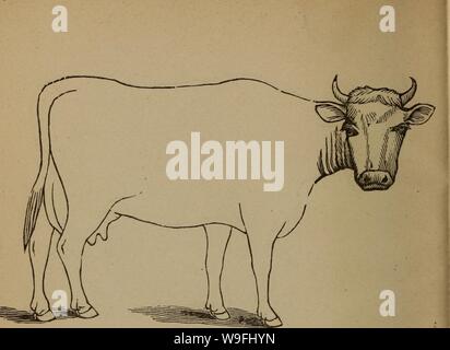 Immagine di archivio da pagina 45 del Cunningham il dispositivo per stockmen e. Cunningham il dispositivo per stockmen e gli agricoltori cunninghamsdevi00cunn Anno: 1882 ( marchio di colore? Descrizione peso Foto Stock