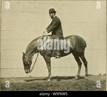 Immagine di archivio da pagina 52 del cordolo, snaffle e sperone Foto Stock