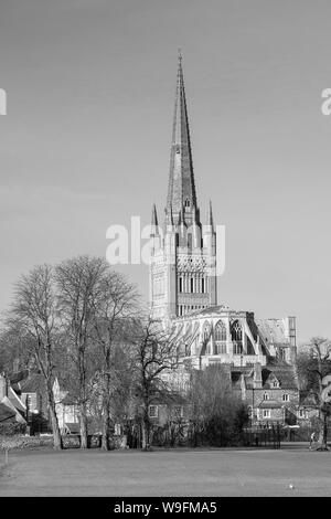 Norwich Cathedral Foto Stock
