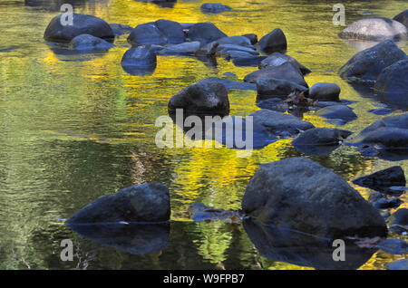 Oregon, Polk County, Costiera, cade Zona della città, Gerlinger County Park. Rapide e le riflessioni sul piccolo fiume Luckiamute. Foto Stock