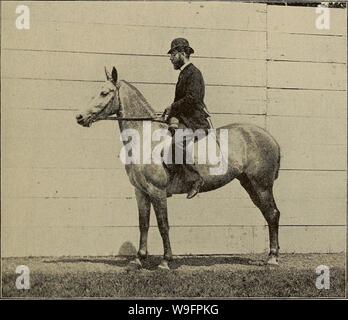 Immagine di archivio da pagina 62 del cordolo, snaffle e sperone (1894). Cordolo, snaffle e sperone curbsnafflespur00EE Anno: 1894 ( movimenti su due percorsi. 57 mano destra dietro la schiena e toccando il cavallo con la frusta al lato sinistro, appena dietro il girths. Il piroettare invertiti a sinistra dovrebbe essere fatta nello stesso modo, a destra e a sinistra l'aids in fase di applicazione di frusta IL VICINO A FIANCO. intercambiabili. Se la frusta è usato per insegnare l'indicazione del tallone destro nel piegare la groppa a sinistra, dovrebbe essere tenuto in il pilota della mano destra con la punta verso il basso e deve essere applicato solo Foto Stock