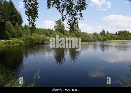 L'Etang Bourdeau stagno e le torbiere sono parte del Plateau de Millevaches delle zone umide nella città di Saint Pardoux Morterolles Foto Stock