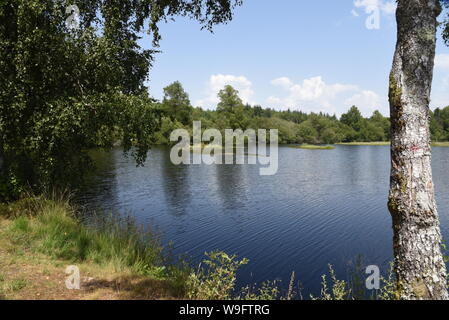 L'Etang Bourdeau stagno e le torbiere sono parte del Plateau de Millevaches delle zone umide nella città di Saint Pardoux Morterolles Foto Stock