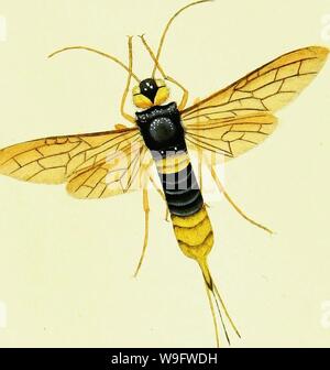 Archivio immagine dalla pagina 73 della storia naturale della British