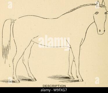 Immagine di archivio da pagina 79 del Cunningham il dispositivo per stockmen e. Cunningham il dispositivo per stockmen e gli agricoltori cunninghamsdevic00cunn Anno: 1882 ( i marchi di colore colore altezza Foto Stock