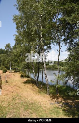 L'Etang Bourdeau stagno e le torbiere sono parte del Plateau de Millevaches delle zone umide nella città di Saint Pardoux Morterolles Foto Stock