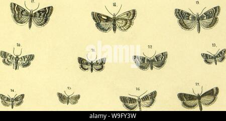 Immagine di archivio da pagina 82 del Abbildung und Beschreibung europäischer Schmetterlinge