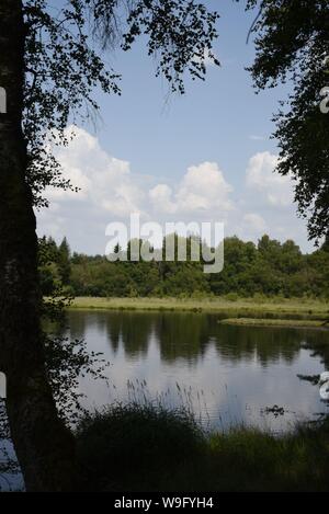 L'Etang Bourdeau stagno e le torbiere sono parte del Plateau de Millevaches delle zone umide nella città di Saint Pardoux Morterolles Foto Stock