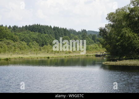 L'Etang Bourdeau stagno e le torbiere sono parte del Plateau de Millevaches delle zone umide nella città di Saint Pardoux Morterolles Foto Stock