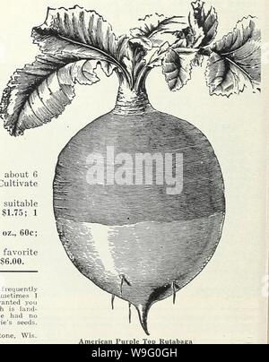 Archivio immagine dalla pagina 87 della Currie del giardino della molla annuale. Currie del giardino : annuale Primavera 1934 59th anno curriesgardenann19curr 0 Anno: 1934 ( Viola Bianco superiore Globe Rapa Viola Bianco superiore globe-un preferito per il mercato USA, producendo colture pesanti di bello radici di eccellente qualità. Carne, bianca, di sapore fine. Pkt., 5c; 1 oz., 15c; i/4 lb., 25c; 1 lb., 50c. Pomerania globo bianco-un grande stock di bianco rapa. Pkt., 5c; 1 oz., 15c; lb., 25c; 1 lb., 50c. Bianco di uovo di forma ovale, con sottile di pelle bianca. Carne bianca, grana fine, dolce e gara. Pkt., 5c; 1 oz., 15c; 14 lb., 25c; 1 lb., 50c Foto Stock