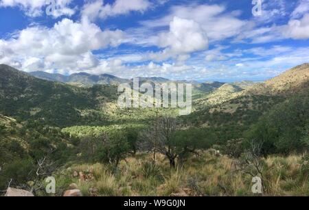 Paesaggio delle montagne Chiricahua nel sud dell'Arizona Chiricahua National Monument. Foto Stock