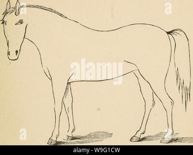 Immagine di archivio da pagina 92 del Cunningham il dispositivo per stockmen e. Cunningham il dispositivo per stockmen e gli agricoltori cunninghamsdevic00cunn Anno: 1882 ( descrizione difetti. Brand Foto Stock