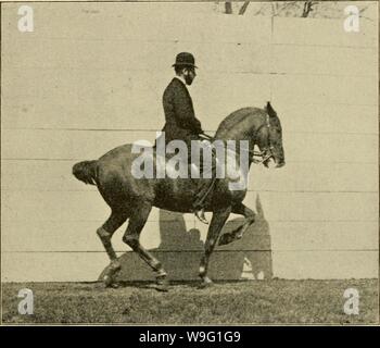 Immagine di archivio da pagina 92 del cordolo, snaffle e sperone Foto Stock