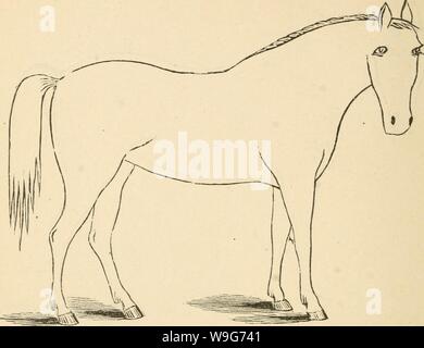 Immagine di archivio da pagina 127 di Cunningham il dispositivo per stockmen e. Cunningham il dispositivo per stockmen e gli agricoltori cunninghamsdevic00cunn Anno: 1882 ( descrizione i marchi di colore colore altezza Foto Stock