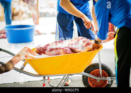 Carne cruda di macellazione di animali effettuata su uno al terzo giorno di Hari Raya Aidil Adha in Malaysia. Carne trasportati utilizzando la ruota pulito barrow durante Foto Stock