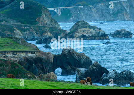 Molti strati di Big Sur costa con rocce, acqua, ponti, e vacche Foto Stock