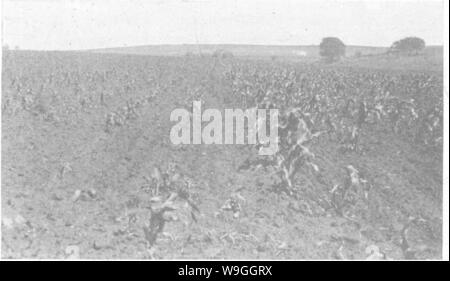 Immagine di archivio da pagina 228 di terreni produttivi; le nozioni di base Foto Stock