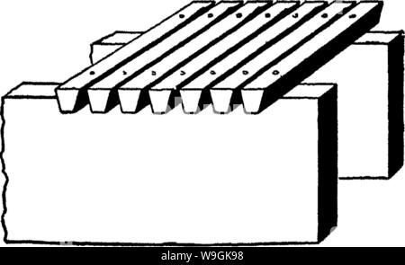 Immagine di archivio da pagina 263 della enciclopedia di pratica orticoltura; Foto Stock