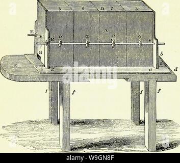 Immagine di archivio da pagina 298 di api la loro storia naturale e Foto Stock