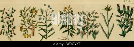 Immagine di archivio da pagina 424 di Culpepper il medico inglese ; e Immagine di archivio da pagina 424 di Culpepper il medico inglese ; e
