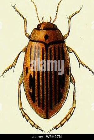 Immagine di archivio da pagina 482 di Iconographie et Histoire Naturelle des Foto Stock