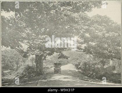 Immagine di archivio da pagina 513 del riesame di Cuba (1907-1931) Foto Stock