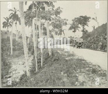 Immagine di archivio da pagina 513 del riesame di Cuba (1907-1931) Foto Stock