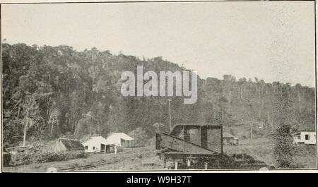 Immagine di archivio da pagina 519 del riesame di Cuba (1907-1931) Foto Stock