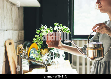 Giovane donna in abito grigio spruzza acqua su houseplant in cucina, vita lenta Foto Stock