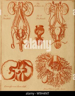 Immagine di archivio da pagina 589 di Culpepper il medico inglese ; e. Culpepper il medico inglese ; e a base di erbe completa culpeppersenglis00culp Anno: 1789 ( ZrrT-ofa r/"w-Oomr/n/f/. Jj/ood/Yrpr/.f gu'f/ie Zr/"CR. Foto Stock