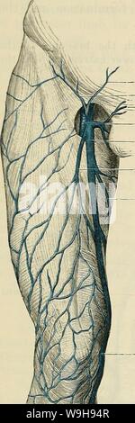 Immagine di archivio da pagina 1021 di Cunningham il libro di testo di anatomia (1914) Foto Stock