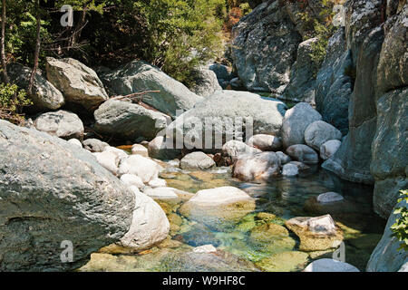 Corte Restonica valley, Corsica. Francia Foto Stock