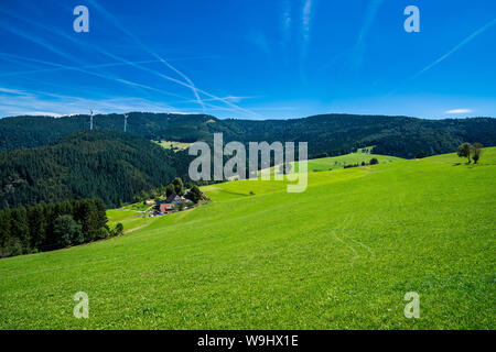 Germania, infinite verdi pascoli e boschi della Foresta Nera paesaggio naturale con cielo blu in estate, un paradiso per gli escursionisti e trekking con vista al monte Foto Stock