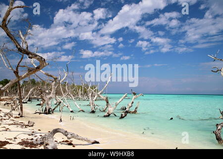 Playa de Cayo Levisa en Pinar del Rio, Cuba. Foto Stock