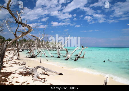 Playa de Cayo Levisa en Pinar del Rio, Cuba. Foto Stock