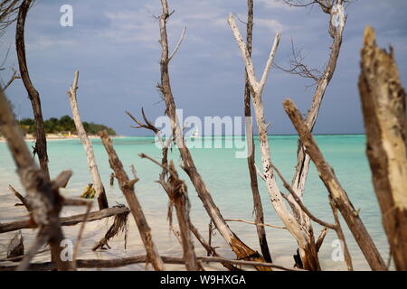 Playa de Cayo Levisa en Pinar del Rio, Cuba. Foto Stock