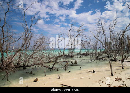 Playa de Cayo Levisa en Pinar del Rio, Cuba. Foto Stock