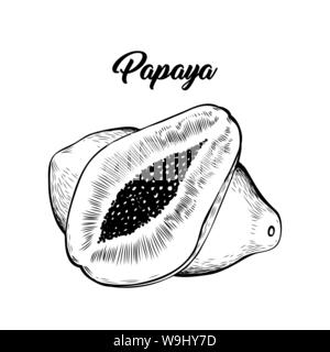 La papaia disegnati a mano illustrazione vettoriale. Deliziosi frutti esotici, dolce cibo tropicale con caratteri. Vegetariani, dessert succo naturale ingrediente penna a inchiostro di disegno. Vitamina dieta banner elemento di design Illustrazione Vettoriale