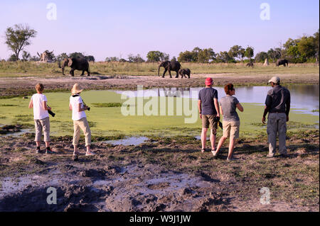 Africa, Sud Africa, Africana, Botswana Okavango Delta, Abu Camp, gruppo turistico con gli elefanti, 30074423.Caption locale *** Africa, Sud Foto Stock