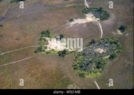 Africa, Sud Africa, Africana, Botswana Okavango Delta, Abu Camp, vista aerea durante la stagione secca, 30074438.Caption locale *** Africa, Souther Foto Stock