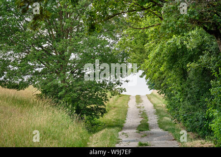 Una lunga e luminosa strada di ghiaia con una diminuzione nella prospettiva di una bella e verde paesaggio estivo in campagna Foto Stock