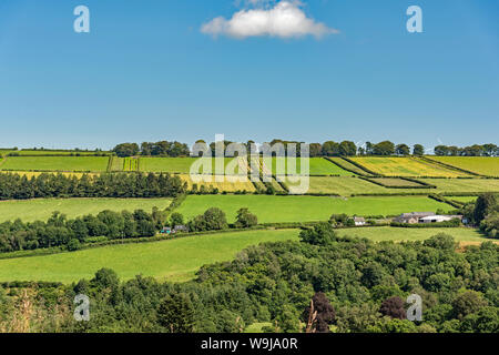 Farmland viste in Scozia. Foto Stock