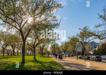 Vista del Smithsonian Museo Nazionale di Storia Naturale e il National Mall in primavera, Washington D.C., Stati Uniti d'America, America del Nord Foto Stock