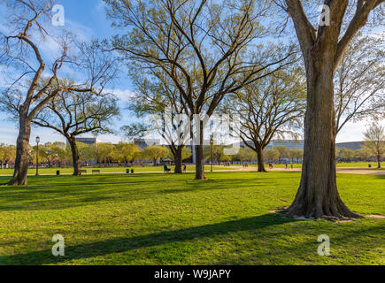 Vista del Smithsonian National Air & Space Museum e il National Mall in primavera, Washington D.C., Stati Uniti d'America, America del Nord Foto Stock